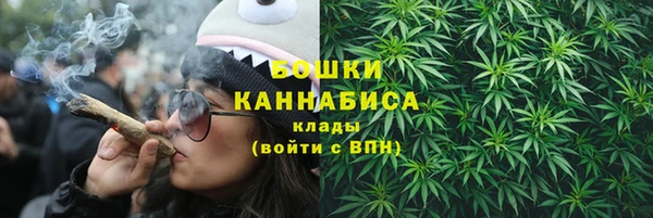 гидра Горно-Алтайск