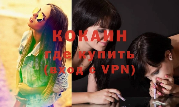 амф Горняк