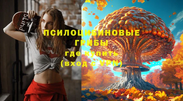 дживик Горнозаводск