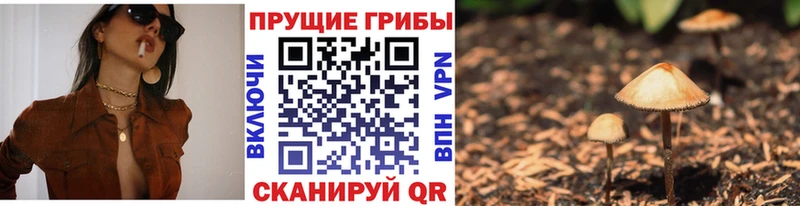 Псилоцибиновые грибы Psilocybine cubensis  Купить где  Кувшиново 