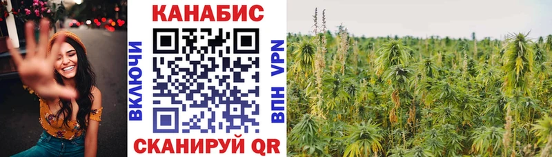 Купить закладки  Кувшиново  Бошки Шишки OG Kush 